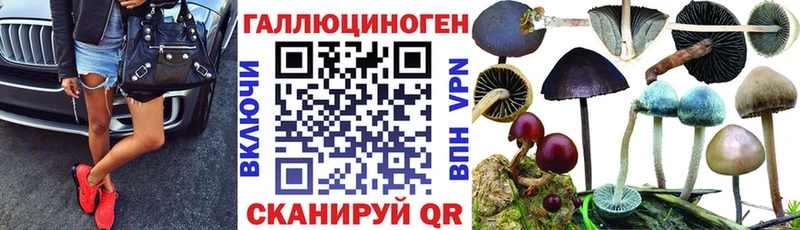 Галлюциногенные грибы мицелий  Ивантеевка 